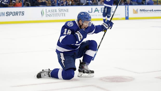 ondrej-palat-lightning-playoffs-celebrate-goal.jpg
